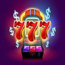 477 bed